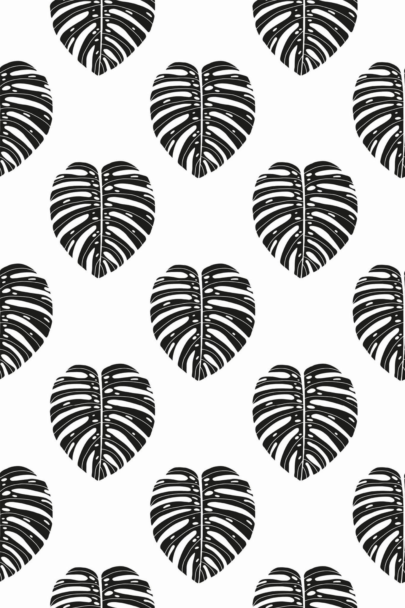 Black and white monstera leaf Wallpaper - Image 2
