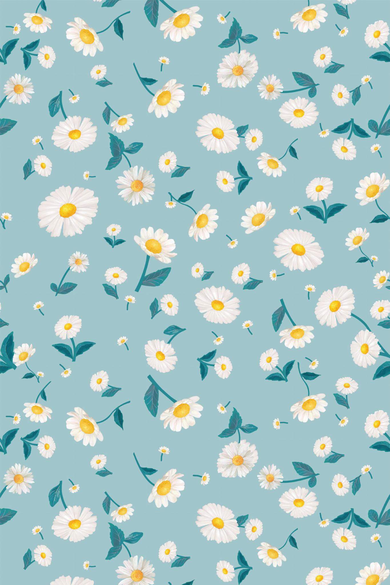 Blue and White Cute Daisy Wallpaper - Image 2