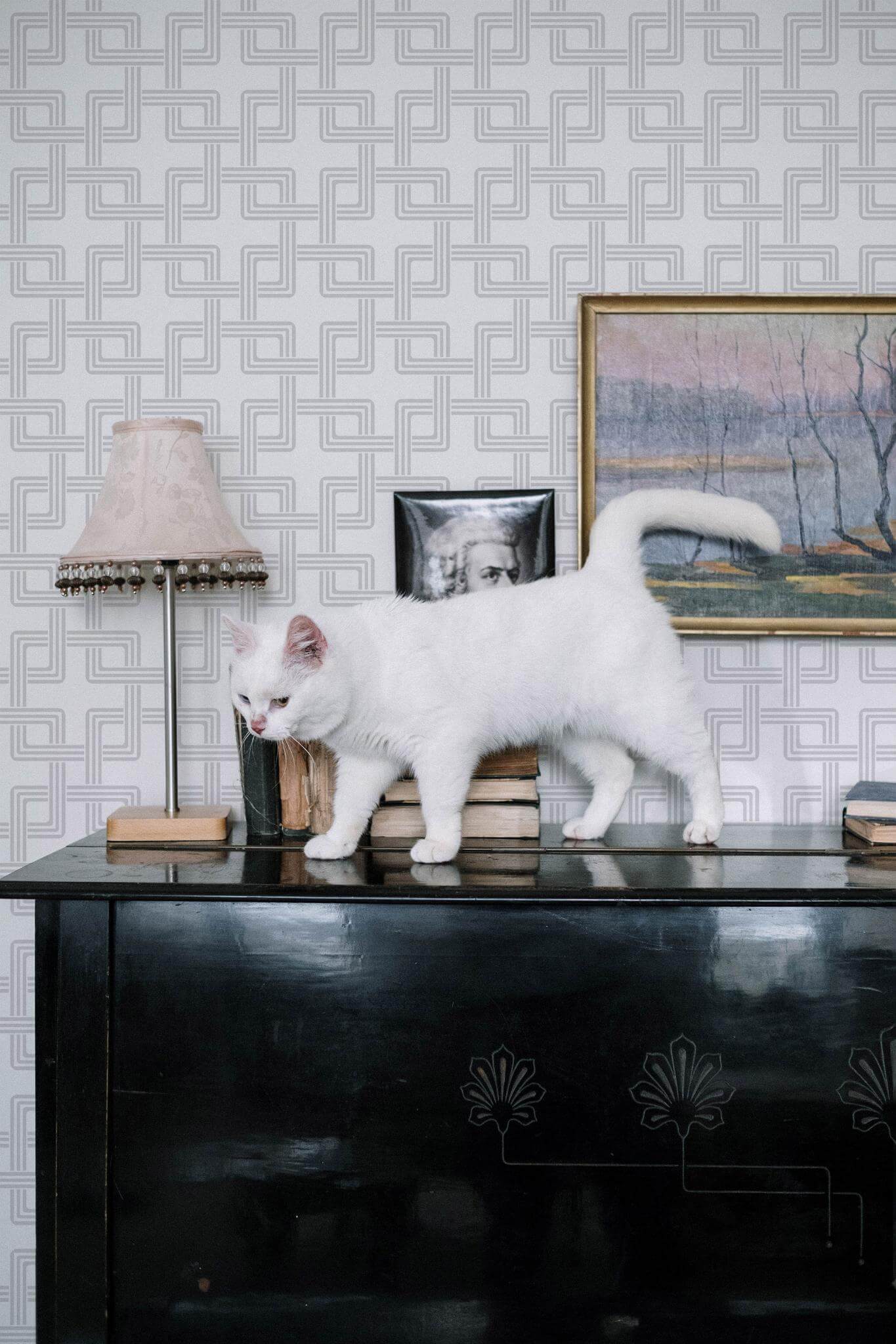 Gray overlapping squares Wallpaper