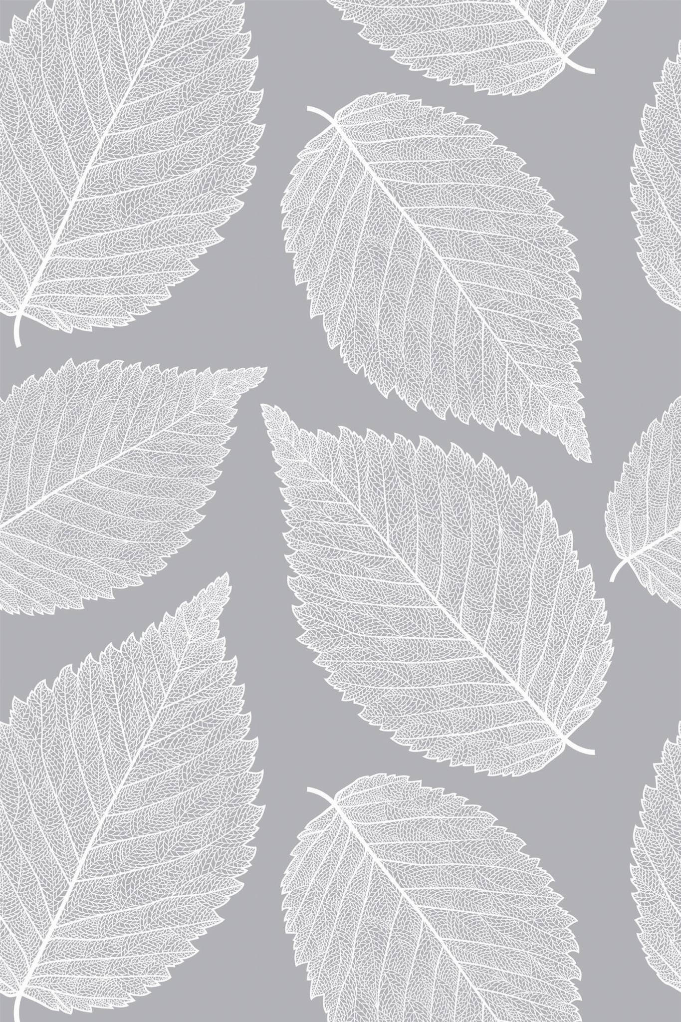 Gray leaf Wallpaper - Image 2