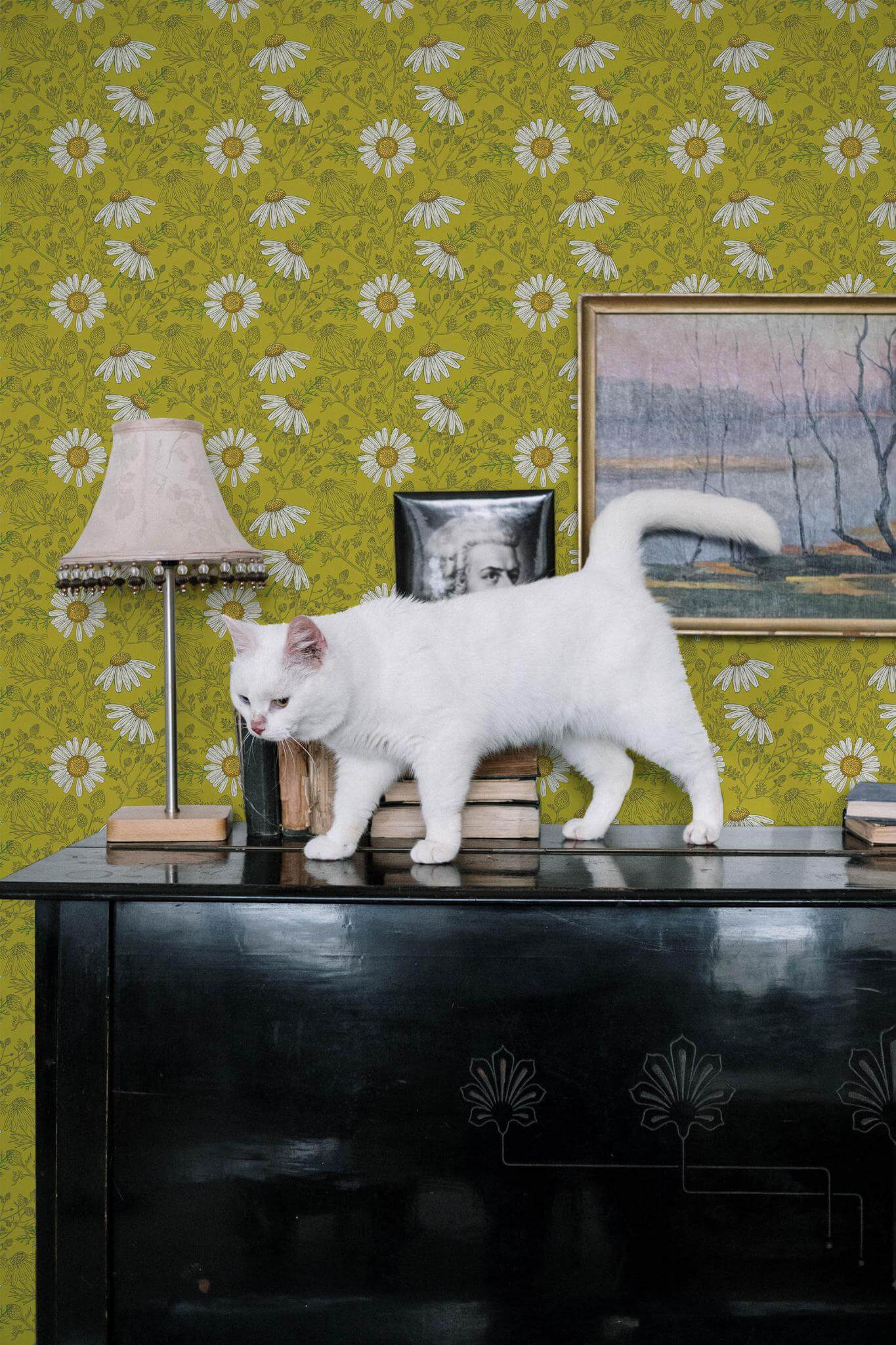 Chamomile Wallpaper
