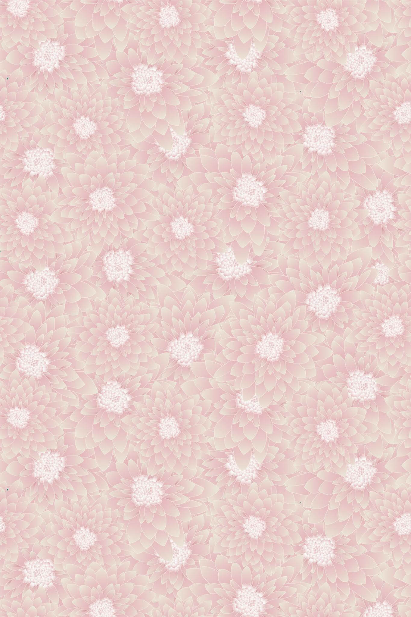 Pastel chrysanthemum Wallpaper - Image 2