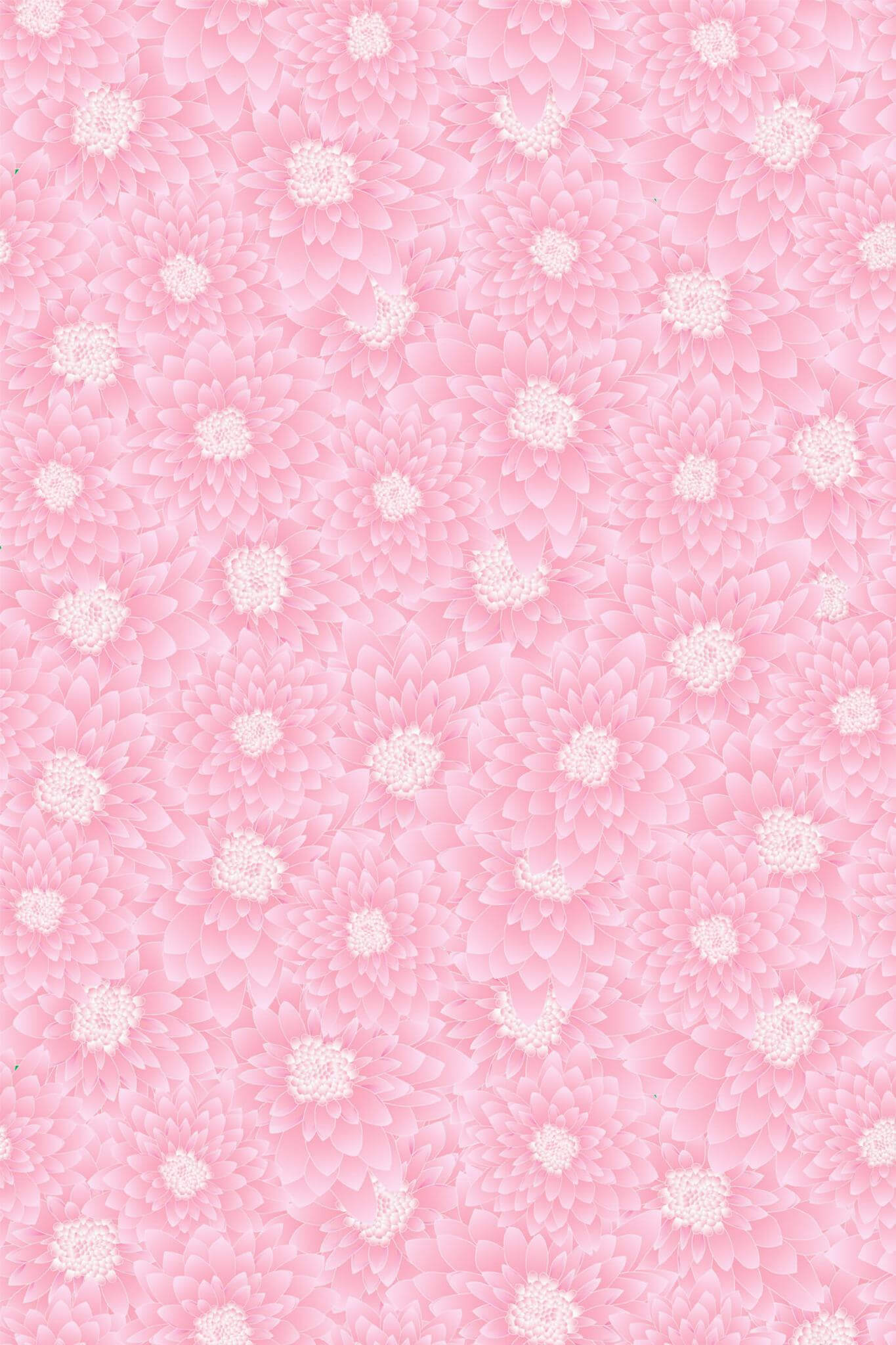 Pink chrysanthemum Wallpaper - Image 2