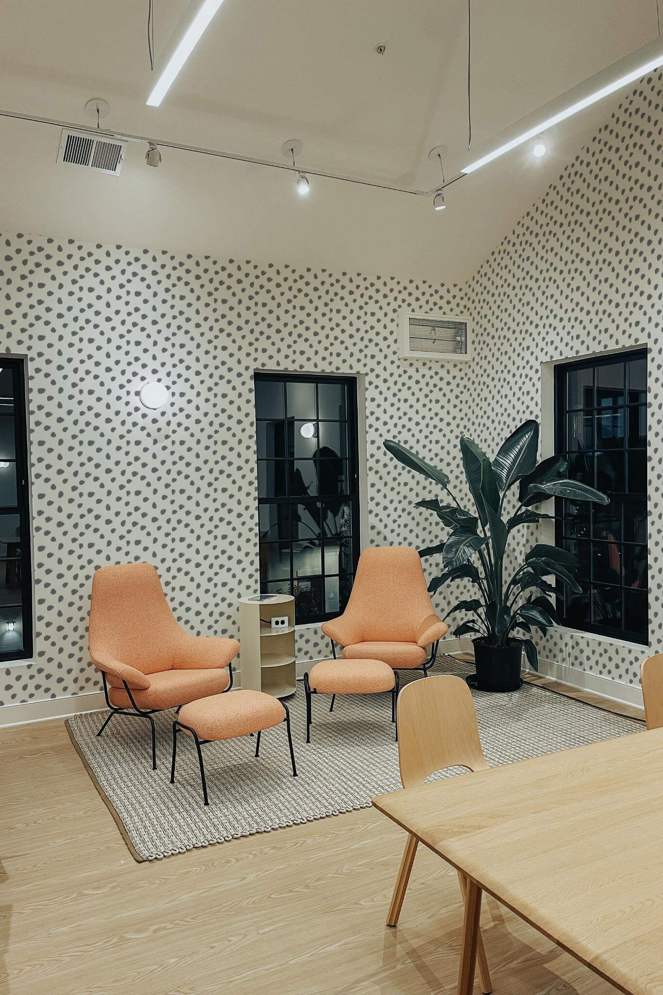 Dalmatian spot Wallpaper - Image 3