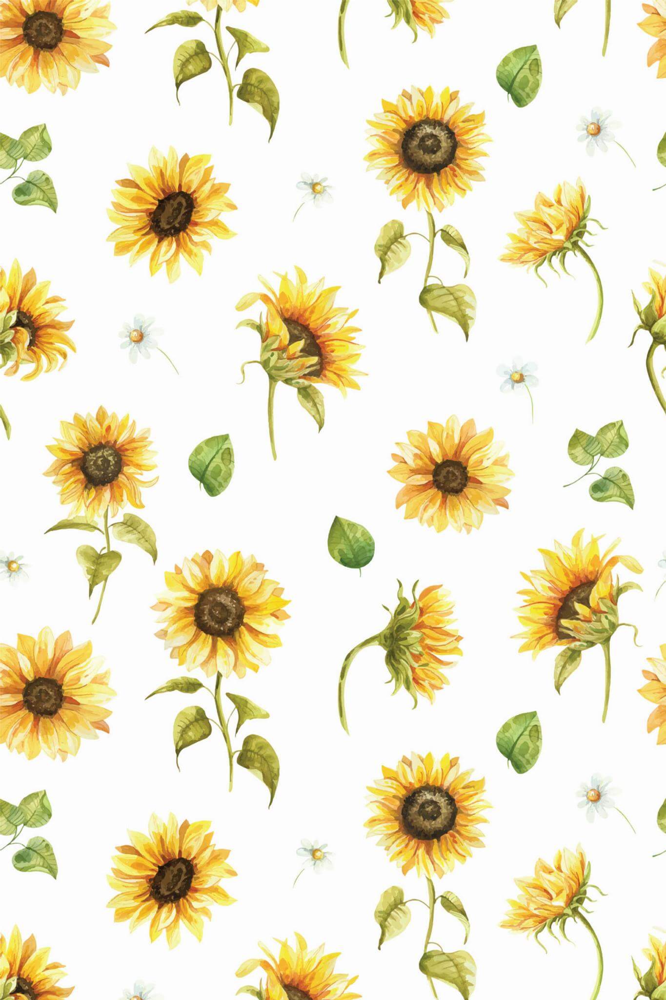 Sunflower Wallpaper - Image 2