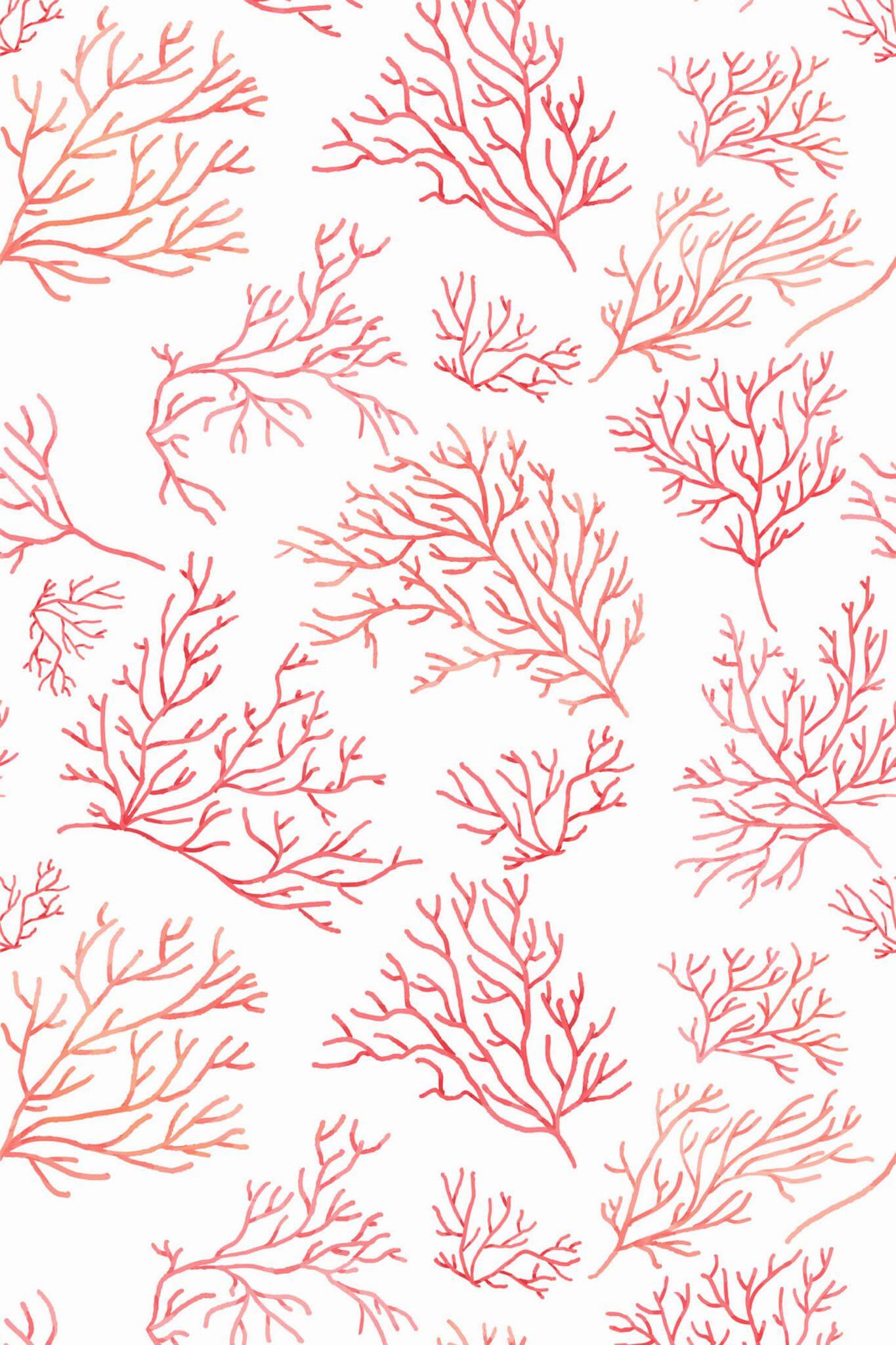 Watercolor coral Wallpaper - Image 2