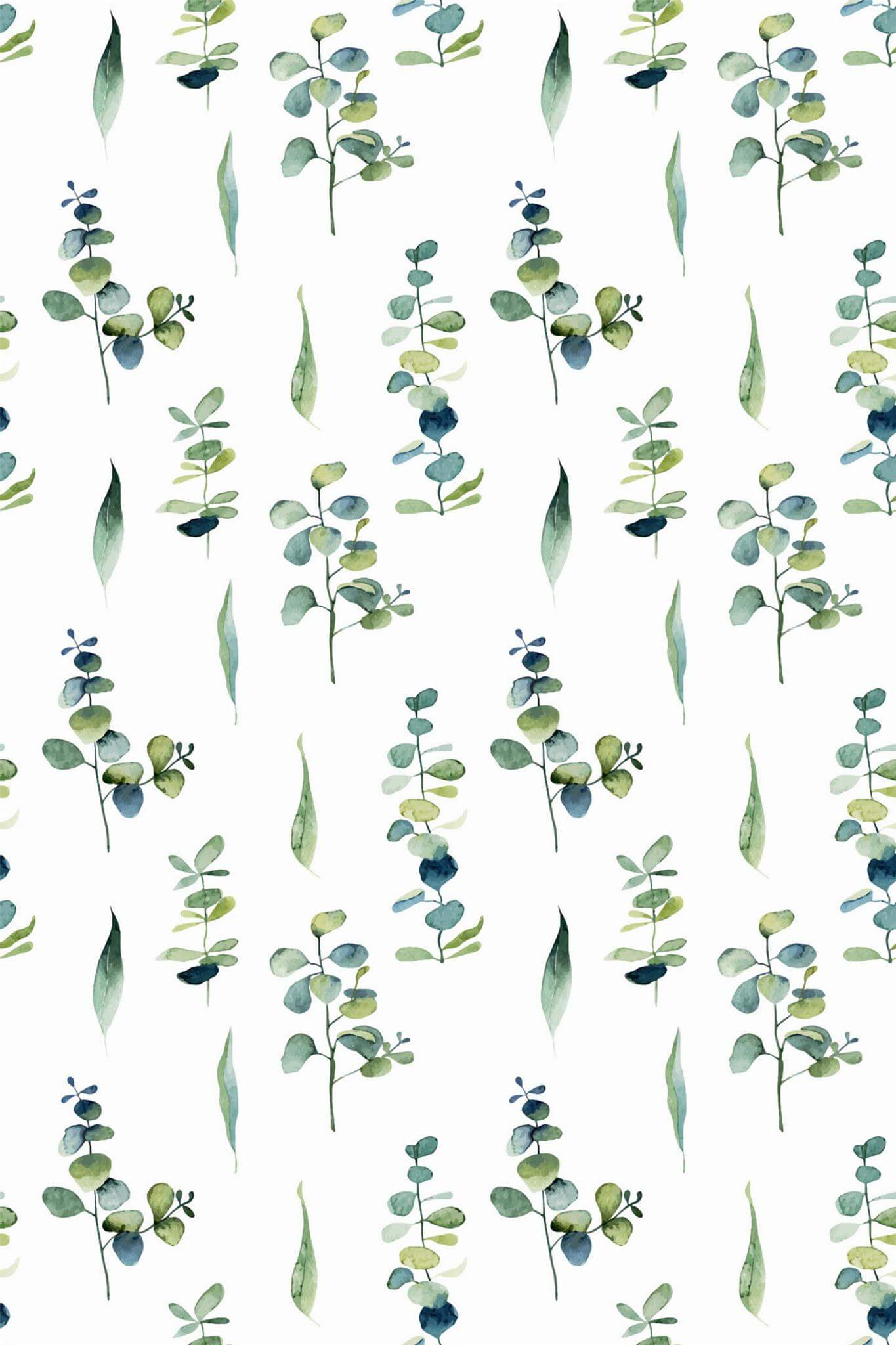 Watercolor eucalyptus leaf Wallpaper - Image 2
