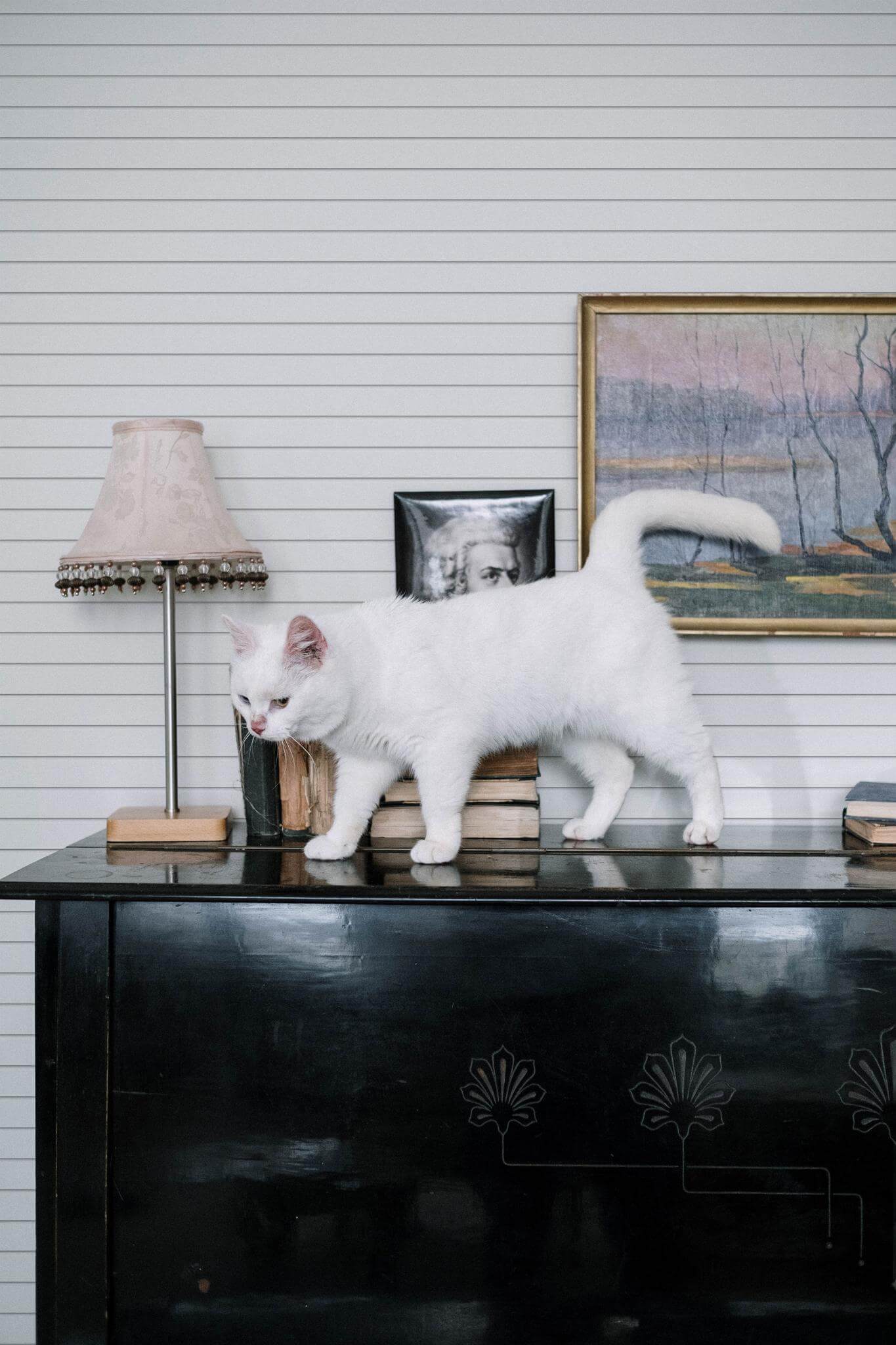 White striped Wallpaper